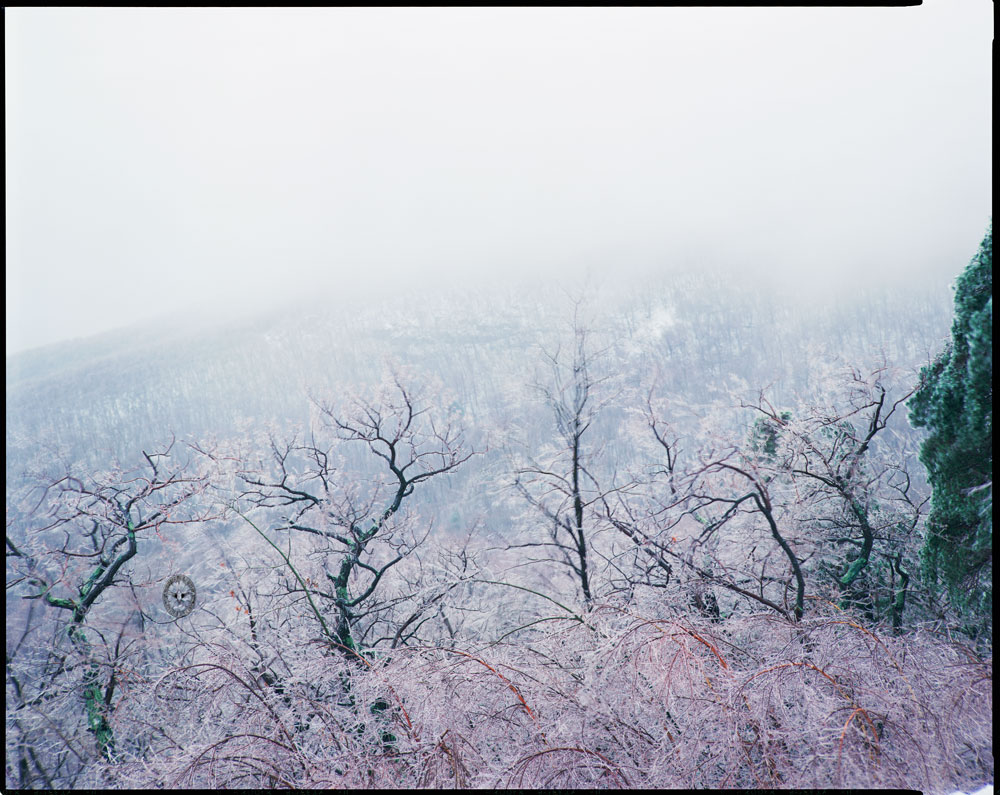 Ice storm, looking

        across the Mead's Mountain House notch at Mount Guardian